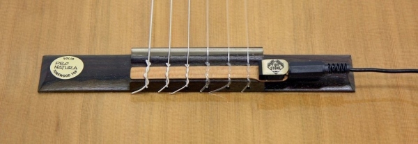 Fire&Stone CG-1 Pickup