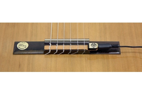 Fire&Stone CG-1 Pickup