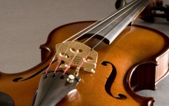 Doză vioară Fishman V-300 Pickup