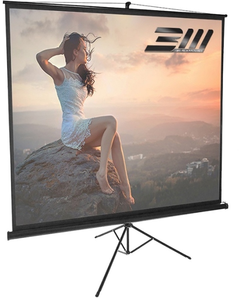 Ecran de proiectie cu montare pe trepied BlackMount Trepied 150cm x 150cm