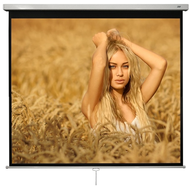 Ecran proiectie cu actionare manuala BlackMount Perete/tavan 240cm x 240 cm