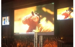 Ecran proiectie electric Elitescreens VMAX2