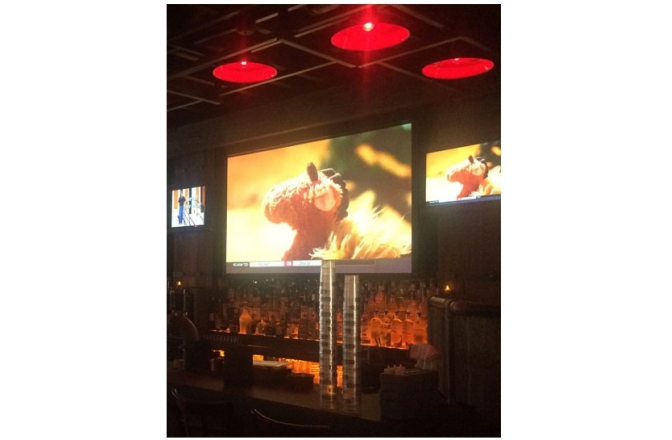 Ecran proiectie electric Elitescreens VMAX2