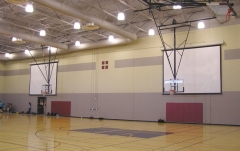 Ecran proiectie electric Elitescreens VMAX180XWV