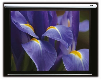 Ecran proiectie electric cu montare pe perete sau tavan Elitescreens ELECTRIC90X