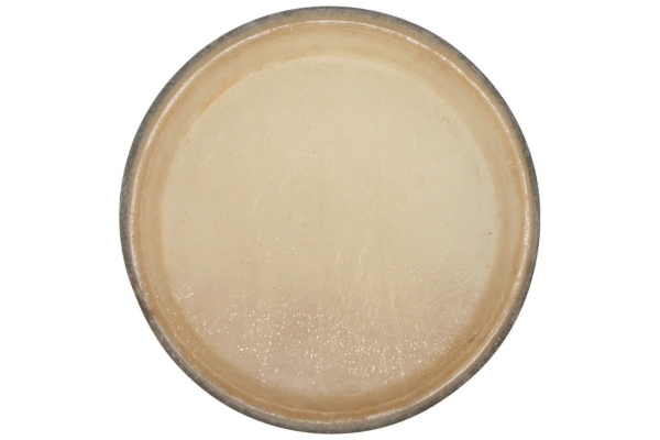 Club Salsa Bongo head  7,5