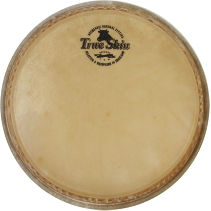 Meinl buffalo head - 9