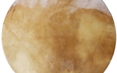 Față Bougarabou Meinl head for AGBG-L (not nurtured) - 12"