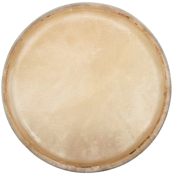 Gewa Fata conga CLUB SALSA 10