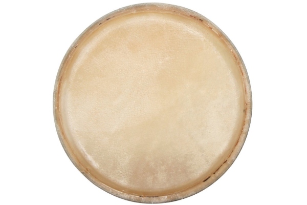 Fata conga CLUB SALSA 12,5