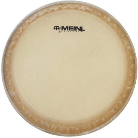 Meinl conga head for models HC555/HC10/HFC10 - 10