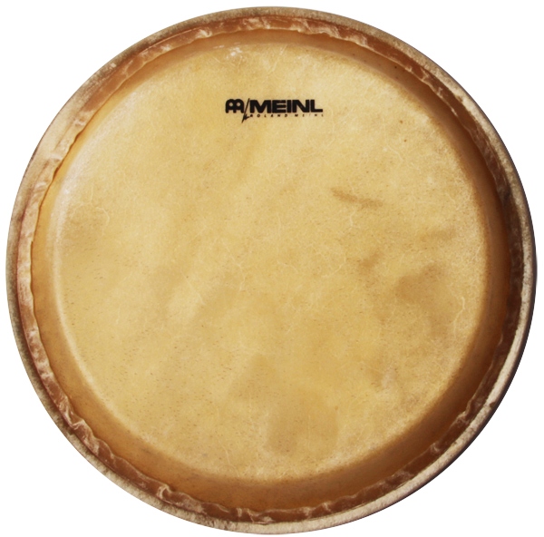 Meinl head for MC1112 marathon - 12 1/2