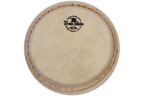 True Skin conga head - 11 3/4 True Skin conga head - 11 3/4