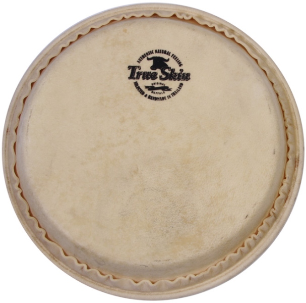 Meinl True Skin conga head - 11 3/4
