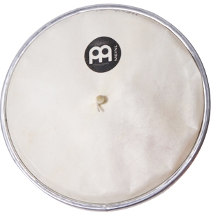 Meinl head for cuica QW6 - 6
