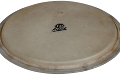 Fata djembe Latin Percussion  Aspire 12,5" fata capra