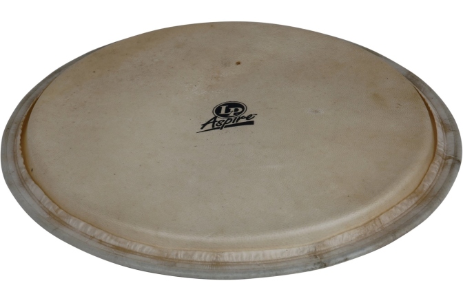 Fata djembe Latin Percussion  Aspire 12,5" fata capra