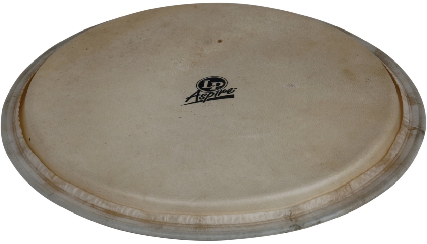Latin Percussion Aspire 12,5