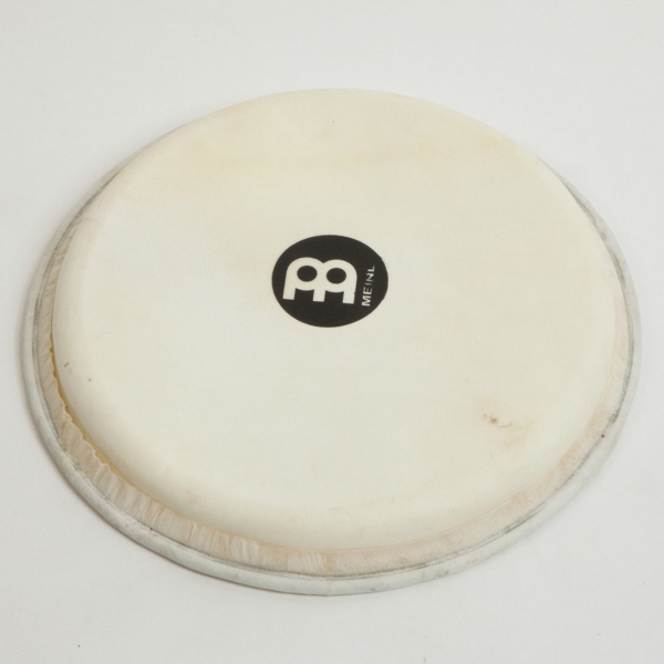 Meinl goat head for djembe FMDJ-L - 12