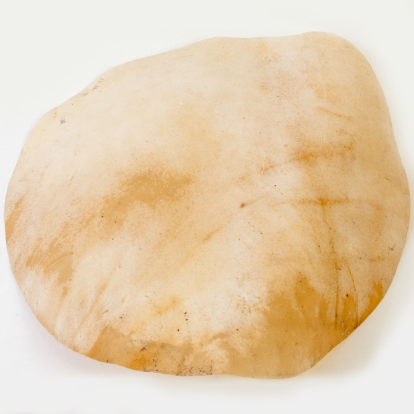 Meinl goat head - for djembefola