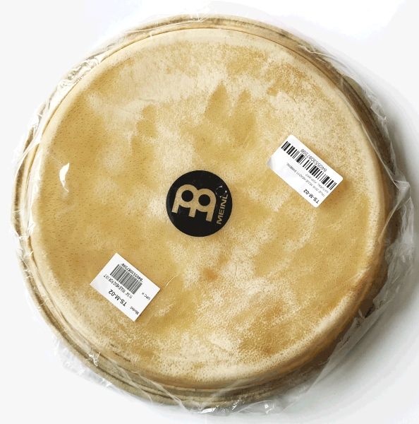 Meinl Head - 11 3/4