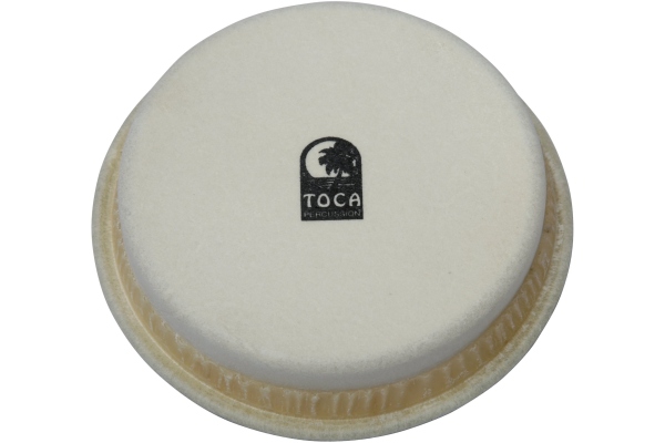  Synergy Series Conga & Bongo 6