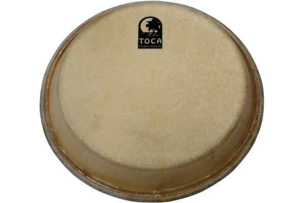  Traditional Series Conga & Bongo 7