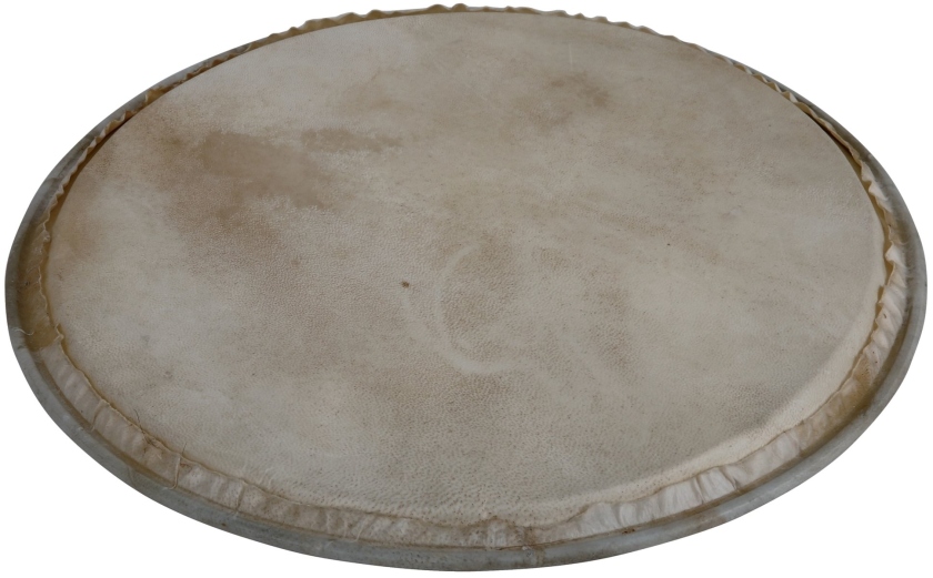 Latin Percussion Plenera 8