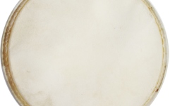 Față Plenera Meinl head for Plenera Set PL-SET - 10"