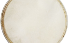 Față Plenera Meinl head for Plenera Set PL-SET - 10"