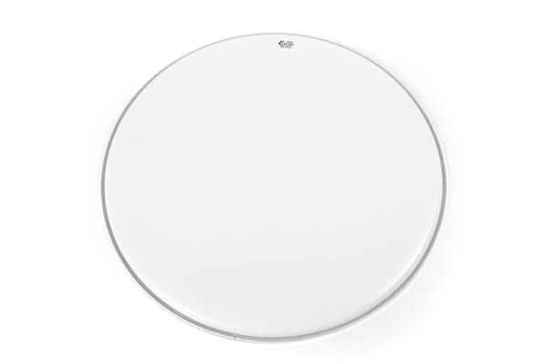  Ambassador white coated BD 24