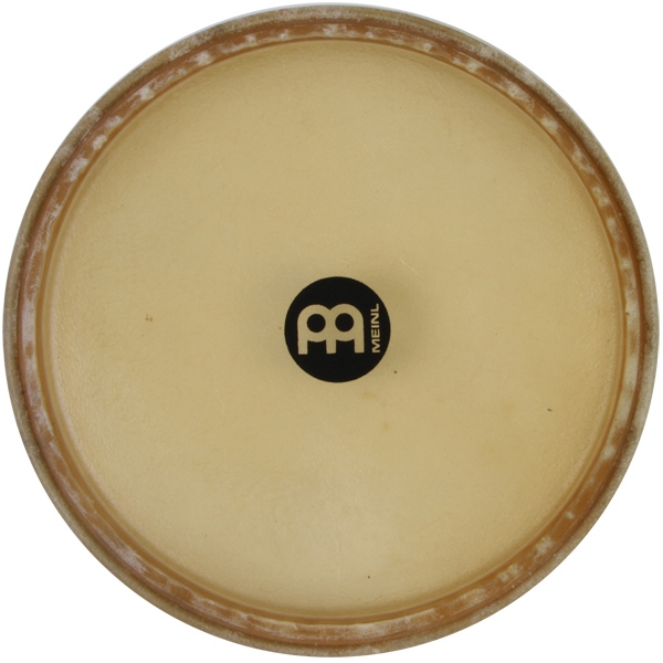 Meinl True Skin conga head - 12 1/2
