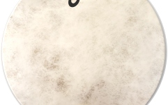 Faţă pentru tom/premier Evans Calftone 13