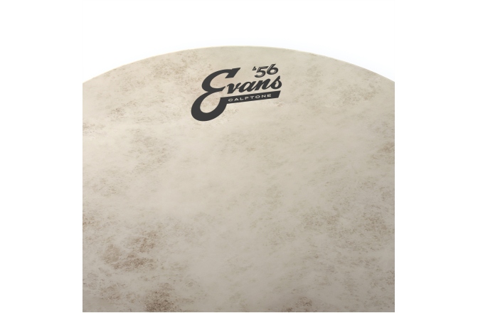 Faţă pentru tom/premier Evans Calftone 13