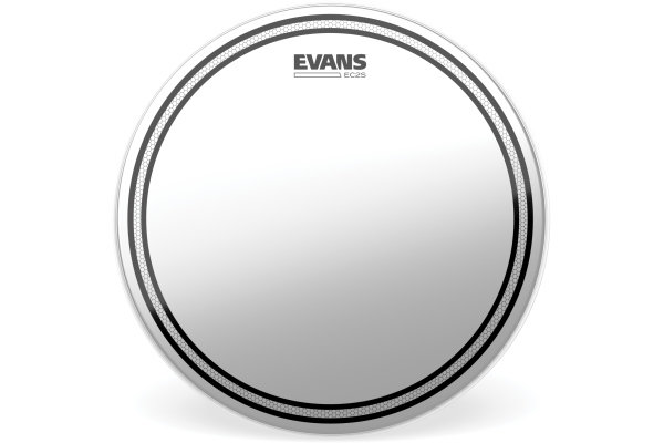 EC2S/SST Frosted 13