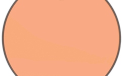 Faţă pentru tom Remo Colortone Emperor Orange 10