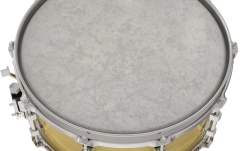 Faţă pentru tom Remo Skyntone 14