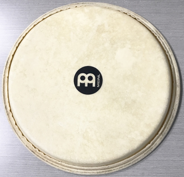 Meinl Head 12 1/2