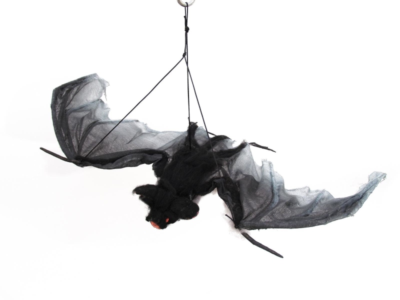 Europalms Bat with ca 120 cm wing-spread