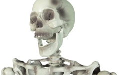 Figurină schelet Europalms Halloween Skeleton, 150 cm
