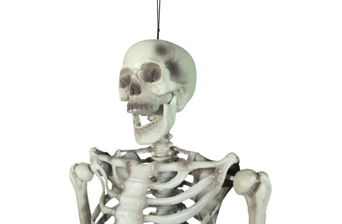 Figurină schelet Europalms Halloween Skeleton, 150 cm