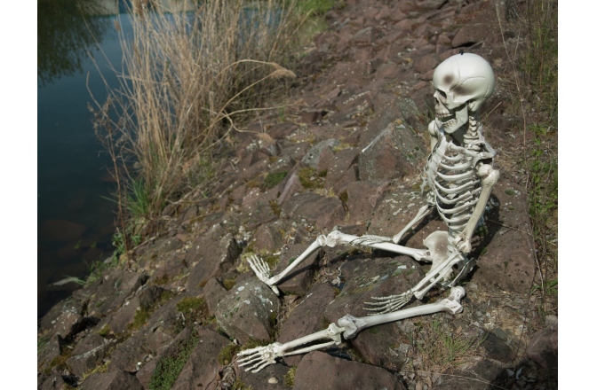 Figurină schelet Europalms Halloween Skeleton, 150 cm