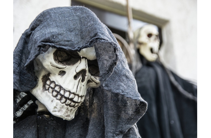 Figurină schelet modelabil
 Europalms Halloween figure skeleton moldable