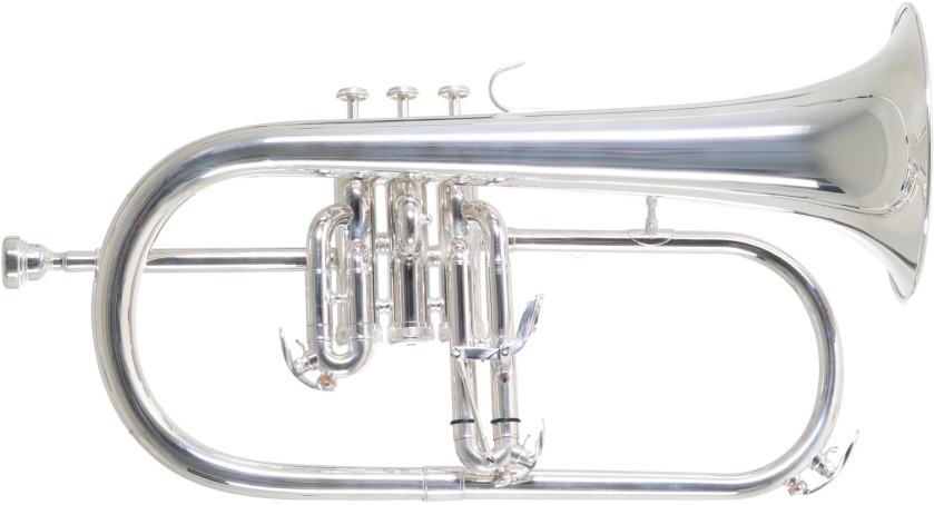 Roy Benson Bb FH-302S