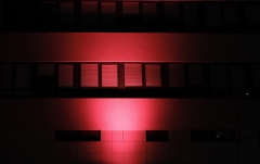 Filtru de difuzie pentru ZENIT W600 Cameo SNAPMAG DIFFUSOR W600 - 25