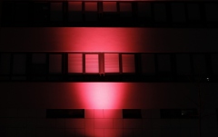 Filtru pentru ZENIT W600 Cameo SNAPMAG DIFFUSOR W600 - 100