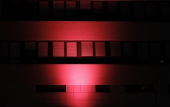 Filtru pentru ZENIT W600 Cameo SNAPMAG DIFFUSOR W600 - 100