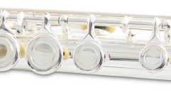 Flaut  Armstrong Flaut FL650RI 