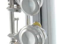 Flaut copii Roy Benson Flaut copii Roy Benson FL-102