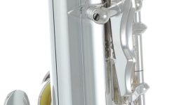 Flaut copii Roy Benson Flaut copii Roy Benson FL-102